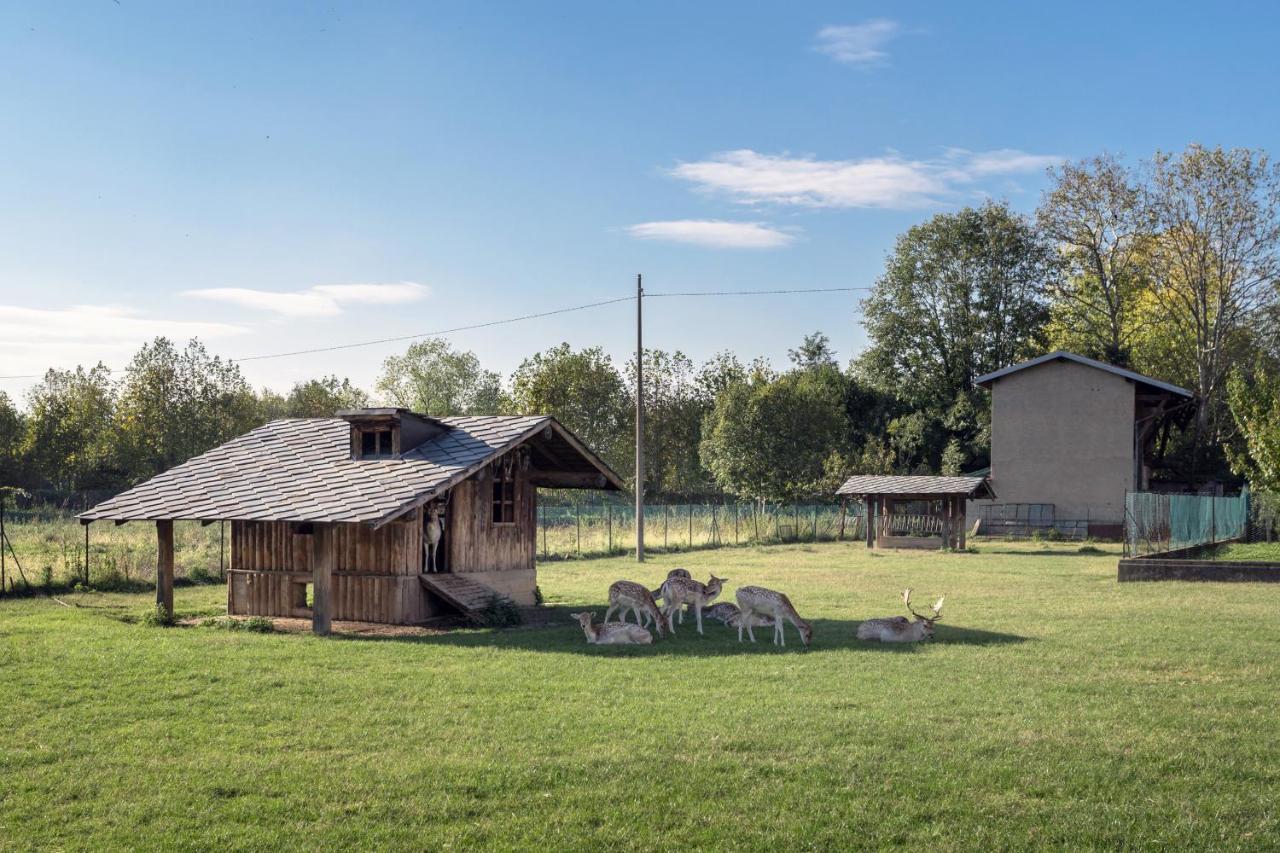 Apartamento La Casetta Dei Daini - Affitti Brevi Italia Orio al Serio Exterior foto